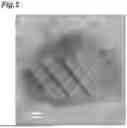 Fig. 06 - LITHIUM-CONTAINING CHLORIDE, METHOD FOR PRODUCING SAME, SOLID ELECTROLYTE AND BATTERY