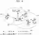 Fig. 07 - METHOD AND APPARATUS FOR SUPPORTING HARQ RETRANSMISSION IN WIRELESS COMMUNICATION SYSTEM