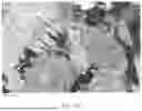 Fig. 167 - VIRTUAL IMAGING METHODS AND DISPLAYS FOR REAL WORLD SCENES