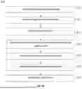 Fig. 09 - METHOD AND SYSTEM FOR HANDLING GLOBAL TRANSITIONS BETWEEN LISTENING POSITIONS IN A VIRTUAL REALITY ENVIRONMENT