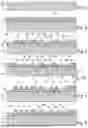 Fig. 02 - Stamping Surface Profile in Design Layer and Filling an Indentation With Metallic Base Structure and Electroplating Structure