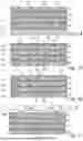 Fig. 05 - Stamping Surface Profile in Design Layer and Filling an Indentation With Metallic Base Structure and Electroplating Structure