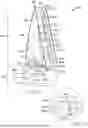 Fig. 89 - INSECT TRAP DEVICE AND METHOD OF USING