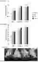 Fig. 07 - BACTERIAL COMPOSITION FOR IMPROVING PLANT-RELATED PARAMETERS AND METHODS OF USING THE SAME