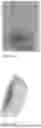 Fig. 04 - LOW DENSITY EDIBLE ANIMAL CHEWS AND METHODS OF MAKING SAME