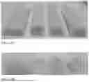 Fig. 09 - LOW DENSITY EDIBLE ANIMAL CHEWS AND METHODS OF MAKING SAME