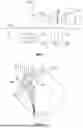 Fig. 02 - VISUALIZATION OF OCULAR LENS BASED ON TILTED OCT IMAGING
