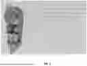 Fig. 02 - MULTIMODAL BIOMETRIC DEVICE