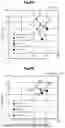 Fig. 07 - SYSTEM, APPARATUS, AND METHOD FOR EVALUATING VASCULAR ENDOTHELIAL FUNCTION