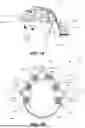 Fig. 08 - COMPACT LASER-POWERED SPECKLE VISIBILITY SPECTROSCOPY DEVICES