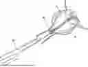 Fig. 01 - UROLOGICAL CHITOSAN STENT AND DELIVERY SYSTEM
