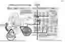 Fig. 02 - FETAL MACROPHAGE AND CELL PREPARATION