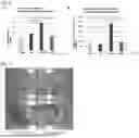 Fig. 05 - FETAL MACROPHAGE AND CELL PREPARATION