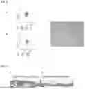 Fig. 06 - FETAL MACROPHAGE AND CELL PREPARATION