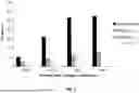 Fig. 06 - INTERACTION OF FIBROBLASTS AND IMMUNE CELLS FOR ACTIVATION AND USES THEREOF