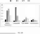 Fig. 28 - INTERACTION OF FIBROBLASTS AND IMMUNE CELLS FOR ACTIVATION AND USES THEREOF