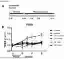 Fig. 02 - COMPOSITIONS AND METHODS FOR INHIBITING RHO KINASE
