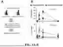 Fig. 02 - DENDRITIC CELL ASGPR TARGETING IMMUNOTHERAPEUTICS FOR MULTIPLE SCLEROSIS