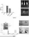 Fig. 22 - PROGRAMMABLE LIPID NANOPARTICLE DELIVERY VIA CORONA PROTEIN ENGINEERING