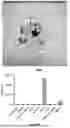 Fig. 47 - PROGRAMMABLE LIPID NANOPARTICLE DELIVERY VIA CORONA PROTEIN ENGINEERING