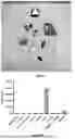 Fig. 48 - PROGRAMMABLE LIPID NANOPARTICLE DELIVERY VIA CORONA PROTEIN ENGINEERING