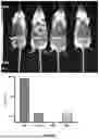 Fig. 53 - PROGRAMMABLE LIPID NANOPARTICLE DELIVERY VIA CORONA PROTEIN ENGINEERING