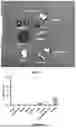 Fig. 55 - PROGRAMMABLE LIPID NANOPARTICLE DELIVERY VIA CORONA PROTEIN ENGINEERING
