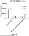 Fig. 63 - PROGRAMMABLE LIPID NANOPARTICLE DELIVERY VIA CORONA PROTEIN ENGINEERING