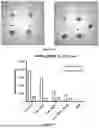 Fig. 65 - PROGRAMMABLE LIPID NANOPARTICLE DELIVERY VIA CORONA PROTEIN ENGINEERING