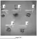 Fig. 70 - PROGRAMMABLE LIPID NANOPARTICLE DELIVERY VIA CORONA PROTEIN ENGINEERING