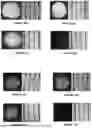 Fig. 09 - ARTIFICIAL CONSTRUCTS FOR USE IN OPHTHALMOLOGY, METHODS FOR OBTAINING THE SAME, AND THEIR USE