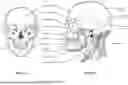 Fig. 12 - PATIENT INTERFACE WITH A SEAL-FORMING STRUCTURE HAVING VARYING THICKNESS