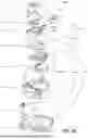 Fig. 19 - PATIENT INTERFACE WITH A SEAL-FORMING STRUCTURE HAVING VARYING THICKNESS