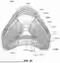 Fig. 85 - PATIENT INTERFACE WITH A SEAL-FORMING STRUCTURE HAVING VARYING THICKNESS