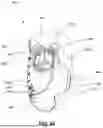 Fig. 62 - CONDUIT HEADGEAR CONNECTOR FOR PATIENT INTERFACE