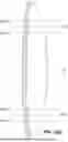 Fig. 44 - GOLF CLUB HEAD WITH A VARIABLE FACE THICKNESS