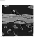 Fig. 02 - CO2-FIXING CERAMIC AND METHOD FOR PRODUCING CO2-FIXING PRODUCT