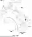 Fig. 21 - METHODS FOR MANUFACTURING AND DISTRIBUTING SEMI-RIGID ACOUSTIC COUPLING ARTICLES AND PACKAGING FOR ULTRASOUND IMAGING