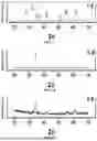 Fig. 02 - TRIMETAL ANTIMICROBIAL COMPOSITION FOR MULTIDRUG RESISTANT BACTERIA