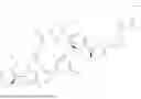 Fig. 421 - RAS INHIBITORS