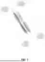 Fig. 02 - POLYPEPTIDES FOR COMPLEMENT INHIBITION