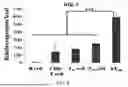Fig. 05 - Epitope of Regulatory T Cell Surface Antigen and Antibody Specifically Binding Thereto