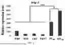 Fig. 06 - Epitope of Regulatory T Cell Surface Antigen and Antibody Specifically Binding Thereto