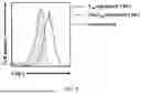 Fig. 08 - Epitope of Regulatory T Cell Surface Antigen and Antibody Specifically Binding Thereto