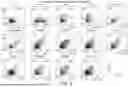 Fig. 06 - Methods for Activation and Expansion of T Cells