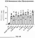 Fig. 08 - Methods for Activation and Expansion of T Cells