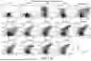 Fig. 22 - Methods for Activation and Expansion of T Cells