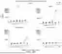 Fig. 76 - Methods for Activation and Expansion of T Cells