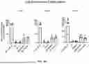 Fig. 83 - Methods for Activation and Expansion of T Cells