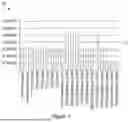 Fig. 02 - TRANSPOSASE COMPOSITIONS FOR REDUCTION OF INSERTION BIAS